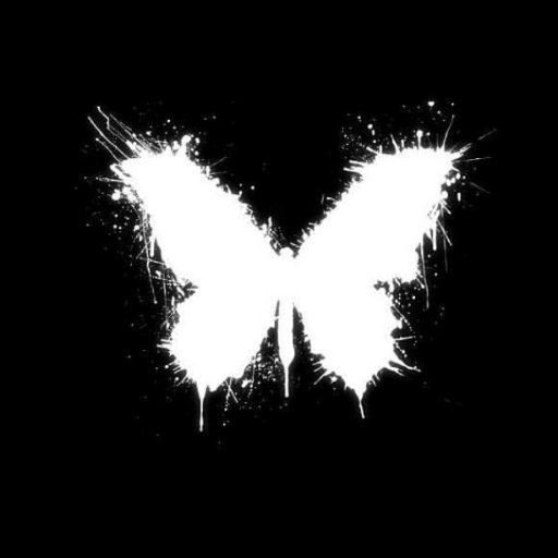 colibriproductions