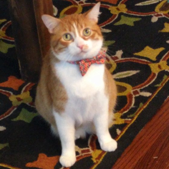 madorb's profile picture.