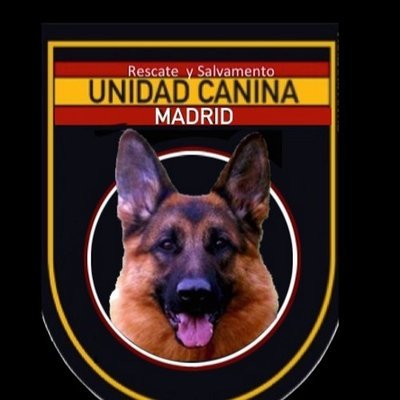 ONG integrada por equipo de voluntarios y nuestros perros, siempre preparados para cualquier eventual situación de búsqueda de personas.