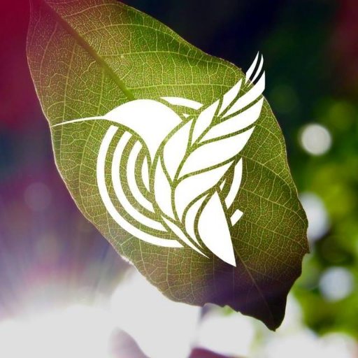 ICrecermas's profile picture. 