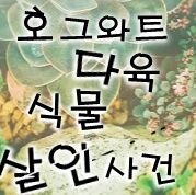 HODA6_'s profile picture. [약칭 호다육 All CP 1.5 차 지인제 외부인 소수 선발 02 (1 차 한정 03) 일상 흑막제 상점제]