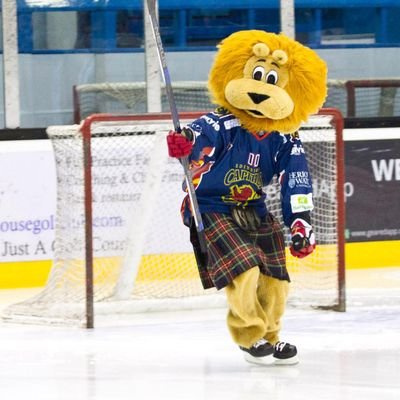 Edinburgh Capitals Mascot. Views expressed are those of Pawz' stuffing, and are not representative of the Edinburgh Capitals organisation