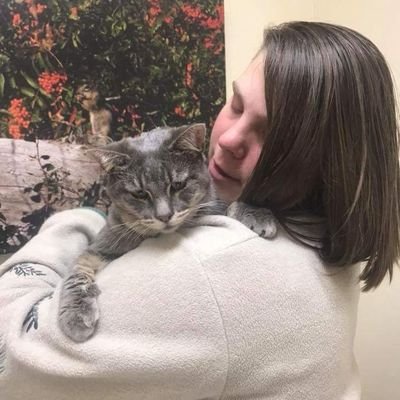 bondedlovecleo's profile picture. Mr. Love tragically passed away from felv/fiv. In his honor, we would like to start a #sanctuary or #rescue for #felv and #fiv positive cats #forMrLove