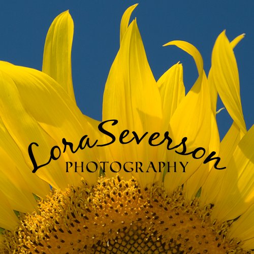 loraseverson Profile Picture