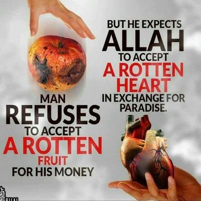 sadiqliman2015's profile picture. Before reaching the uppermost, we must keep God uppermost in our minds.