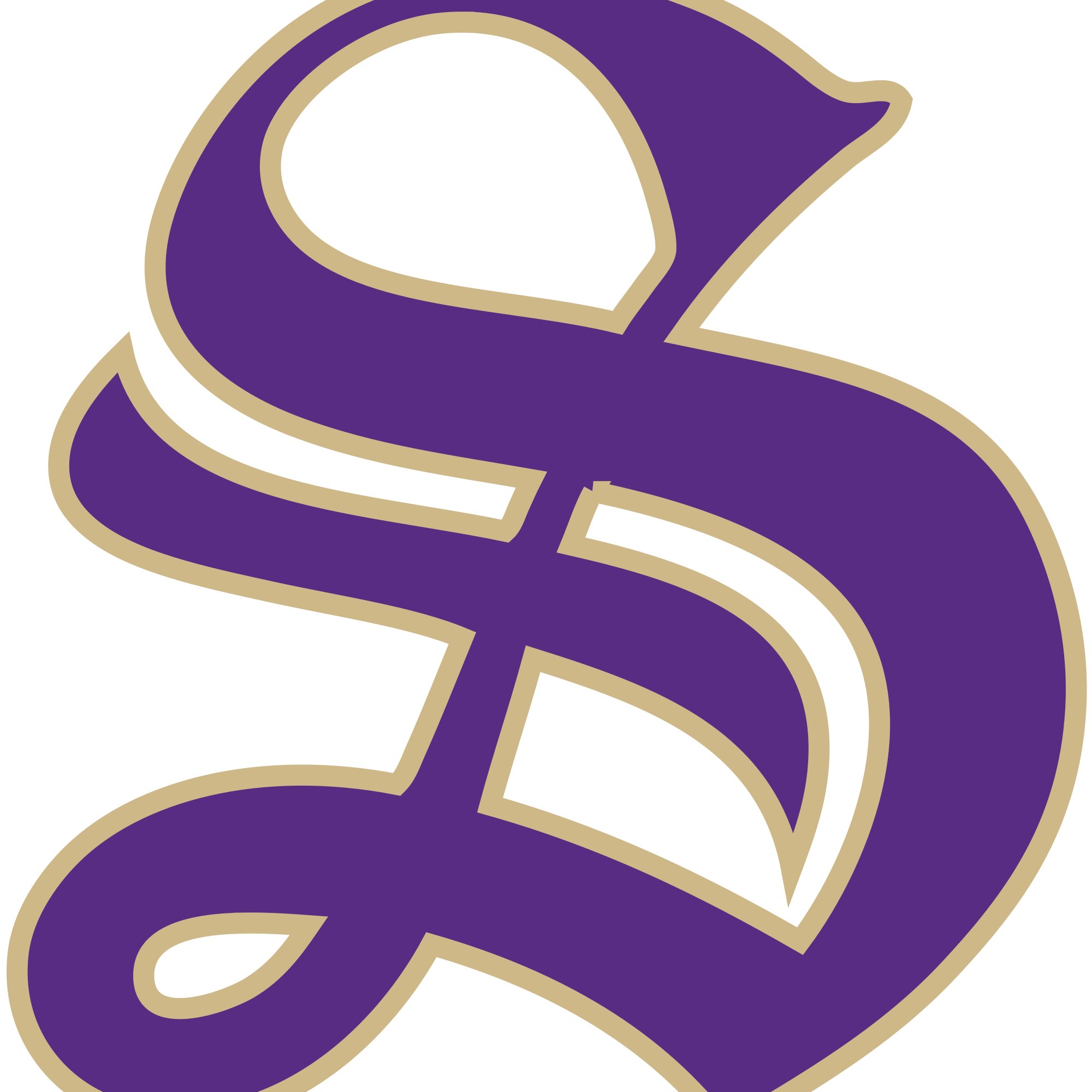 Head Volleyball Coach at University of the South Sewanee