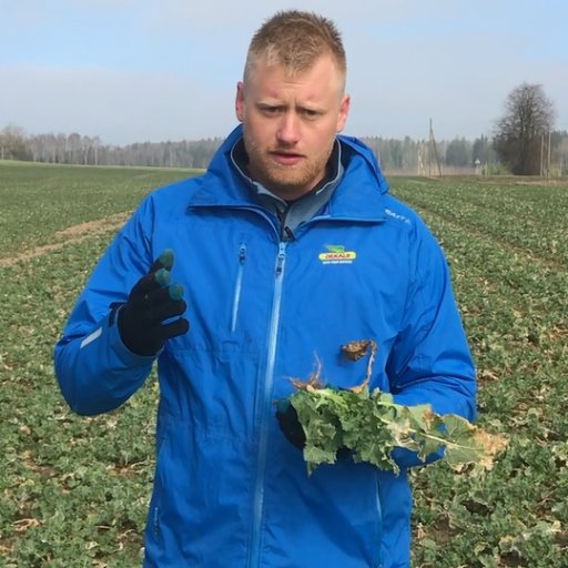 slykkegaardh's profile picture. 