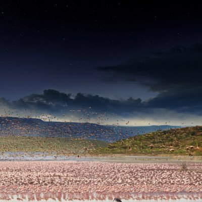 AlghaithyShamma's profile picture. 