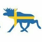 Stefan Lund (@stefalund) Twitter profile photo