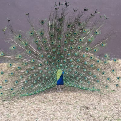 megcperry's profile picture. Just trying to make sense of it all.