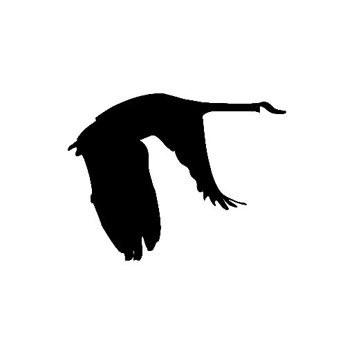 GooseDesignCo's profile picture. Goose® Design Co. is a Multidisciplinary Design Cooperative. CDO Jony Ive. Follow for Feminist news and culture. A @UtopiaPrevailia Venture. 🏴