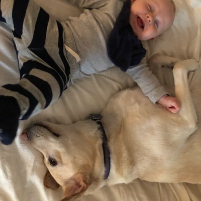 New mom/former strategic comms. Past includes a mix of advertising agencies and non-profits. UVa alumn, from hotlanta. Views are my own