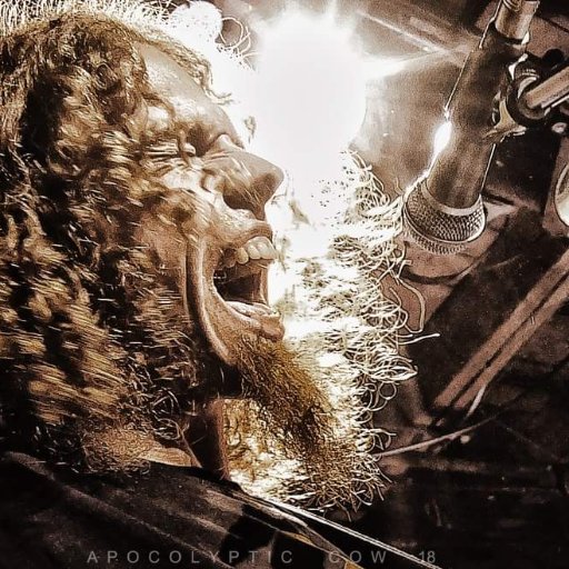 WillMaeder's profile picture. Professor of 6 String Theory and Yodeling