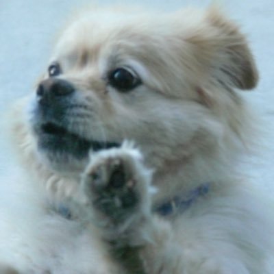 majicalname's profile picture. Good Evening