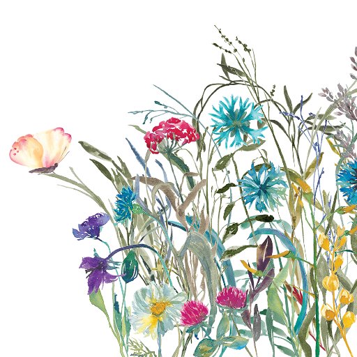 WildflowerBathC's profile picture. Skincare from Nature.