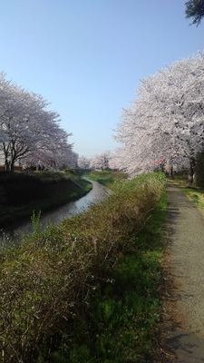 新潟県立高田商業高等学校卒業生です。
時間があるときに高商のあるある呟きます。
・盗難が多く生徒のせいにされていたが、講師も盗難をしていた高校
・人をバカにするのが人生の生き甲斐の商業科目の先生がいる高校
・結局事務系の仕事には就けない高校
こんな感じの高校です。