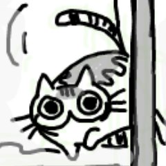 キュルZさんのプロフィール画像