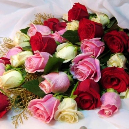 domy906's profile picture. 