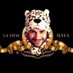 Lavidamata (@lavidamata) Twitter profile photo Lavidamata (@lavidamata) Twitter profile photo