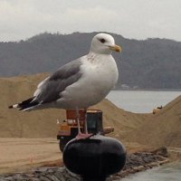 ひろし (@qupar5ro2s5yo8i) 's Twitter Profile