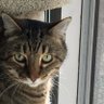 gary_gsr's profile picture. Ophthalmologist, biotech investor, classical/blues guitarist, animal lover. New medSpa owner with Potenza, PicoSure, FlexSure and Icon . No investing advice.