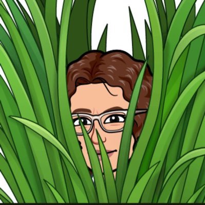 giannaxavier's profile picture. Já passei da fase de ter que me descrever.