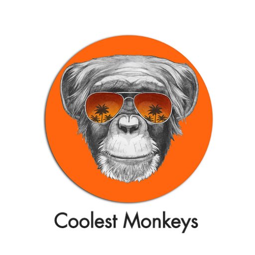 Twitter page of the ‘Coolest Monkeys’ blog. Run by @causticmorris