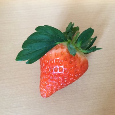 不二子さんのプロフィール画像