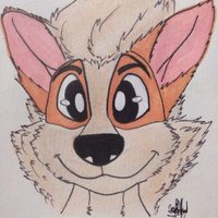 XGlidingDragonX (@xglidingdragonx) 's Twitter Profile