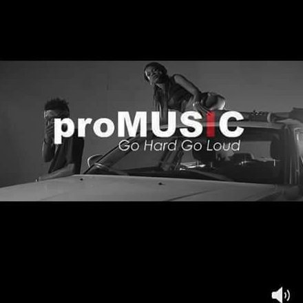 Pro Music Ghana is a partnership music management company aimed at bringing good music to the ears and hearts of everyone