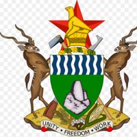 Ministry of Women Affairs Zimbabwe(@MinofWomenZim) 's Twitter Profileg