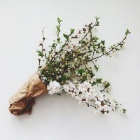 ندى السبيعي (@ni_490) Twitter profile photo