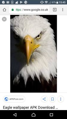 KrazeEagles's profile picture. A Fresh Gaming Youtuber

Visit my channel : Kraze Eagles
🦅