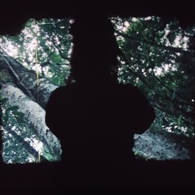 LadyGreen1312's profile picture. FlowerPowerDemon 💜🖤💜 Nerdy👽 Alien lost in Art & Poetry. Tea Lover. Netflix & Chill • Live in trippy Fantasy. Princess Insomnia • 🌈