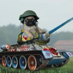 Queenofthepugs's profile picture. “obscurity is the refuge of incompetence.” Here to talk to anyone. #DrainTheSwamp #bluelivesmtr #PATRIOT #ProLife #DefundPP #istandwithICE #StandWithTexas