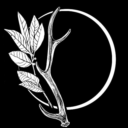 ▼ Women's Art Collective ☾ Events Rooted In Ritual & Myth ∞ Creations From The Soul 𖣔 Come Experience The ℳ Ꭿ Ꮐ İ Ꮯ ⇣