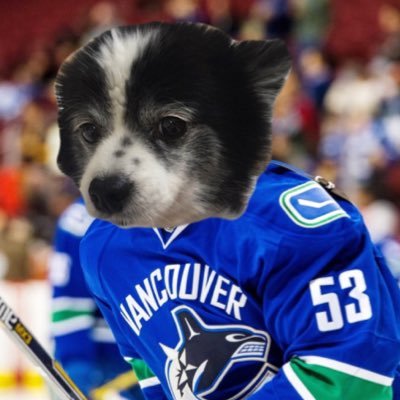 Pobert..... Go Canucks! Hockey Vancouver Canucks