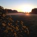 AQUALATE GOLF CENTRE (@golfaqualate) Twitter profile photo AQUALATE GOLF CENTRE (@golfaqualate) Twitter profile photo
