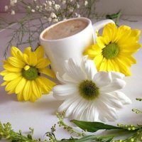 كبلزززز جادين (@rafdann1) 's Twitter Profile