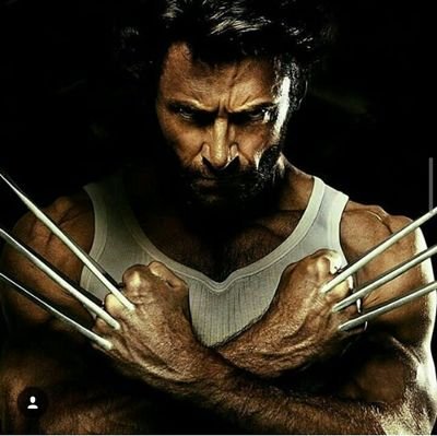 Wolverinam's profile picture. 