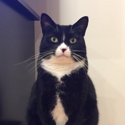 Tinyte13's profile picture. 