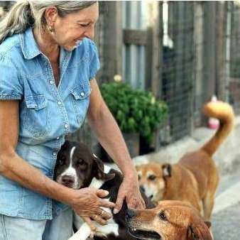 Uno dei rifugi più popolosi e poveri di Palermo,tenuto in piedi da una sola persona,Francesca,che ogni giorno con enorme sacrificio,combatte x i suoi pelosetti