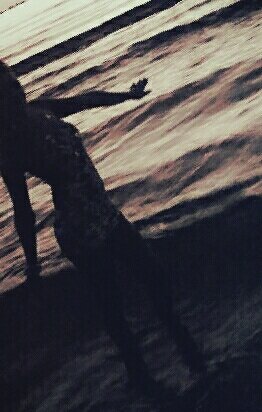 Lauraplanet3's profile picture. Cogli ogni opportunità che la vita ti dà, perché se te la lasci sfuggire ci vorrà molto tempo prima che essa si ripresenti. (P. Coelho)