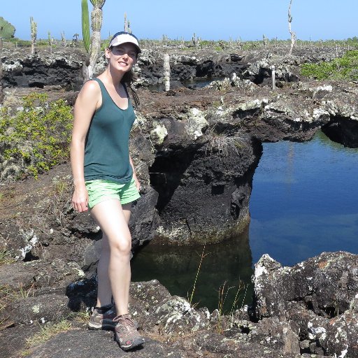 Geochemist and Volcanologist at the University of Adelaide (opinions my own)