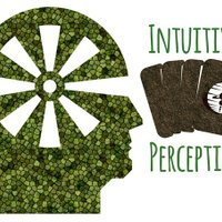 Intuitive Perceptions (@intuitpercepts) 's Twitter Profile