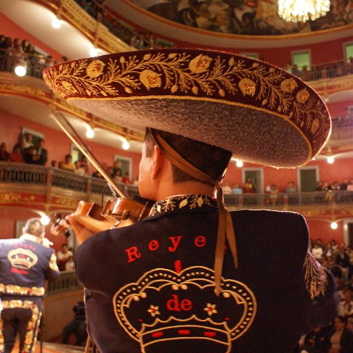 Productor Congreso Internacional del Folklore Mexicano
 | Fotógrafo | Plastilinero | miembro comité de la salvaguardia del Mariachi por UNESCO