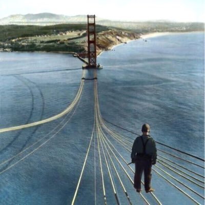 indianAlgo's profile picture. Algo trader