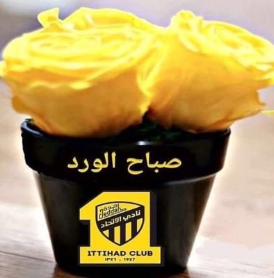 عايش فوق الارض.مؤقتاً 😏.
