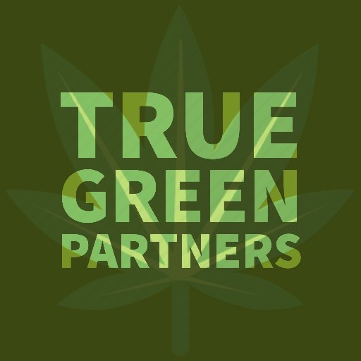 Los Angeles based cannabis marketing agency focused on brands, services, and dispensaries.