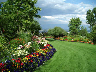 showmygarden's profile picture. A site to show off your garden and get inspired by other gardens. Proud of yours? Show it off here.